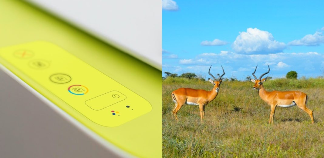 Printing Business in Kenya JBINVESTING